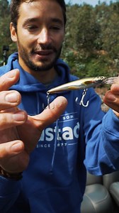 2.4K views · 98 reactions | Mustad's durable Jaw Lok Inline Treble hooks are the perfect replacement hook for even your favorite freshwater baits! #MustadFishing #mustadhooks #freshwater #freshwaterfishing #fishing | Mustad Fishing Europe | Facebook