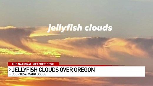 These unusually shaped cirrostratus clouds – also known as ‘jellyfish clouds’ – are caused by changes in wind direction and speed at different heights. (📸 Rhonda Shelby in Portland) The rising smoke from an Idaho wildfire is filtering out sunlight, creating this unique orange/red look. (📸 Brooke Foster in Missoula, Montana) See something beautiful? Show the world! https://news4sanantonio.com/chimein | News 4 San Antonio