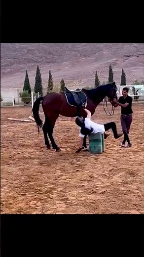 Funny Horse Riding Fails: Girl Rider's Hilarious Moments!