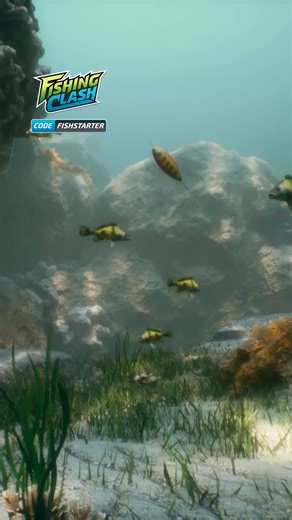 Relax, cast, and unwind 🎣 Escape to a calming fishing adventure that soothes the mind & proves your skills in catching the ultimate trophy 🏆 | Fishing Clash