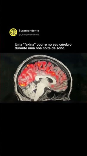Uma faxina que ocorre no cérebro à noite