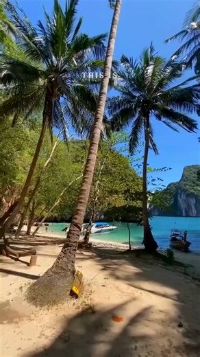This Is Thailand - A country that captures the heart 🇹🇭✨ Thailand is a land where beauty, culture, and daily life flow together in perfect balance. From golden temples glowing at sunrise to turquoise seas lapping quiet beaches, every moment feels cinematic 🌅🌊. It’s a place where ancient traditions remain alive, yet modern energy pulses through vibrant cities. Travelers are welcomed with genuine smiles and the famous Thai hospitality that turns visitors into friends. Bustling street markets f