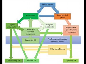Supporting Ecosystem Services: Concepts and Linkages to Sustainability