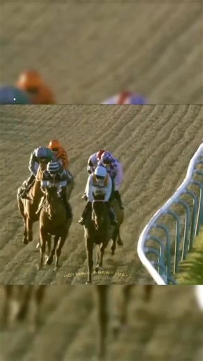 🎉@billy.loughnane Makes HISTORY! With 222 Wins In A Calendar Year In The UK After This Win On INVITED At Lingfield #HorseRacing | Horse Racing Away Days