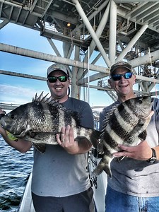 Sheepshead fishing_Alabama Gulf Coast_Mobile Bay_Dauphin Island...