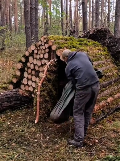 Building a Warm Log Cabin That Survives the Cold Part.1 #bushcraft #survival #camping #shelter #fyp