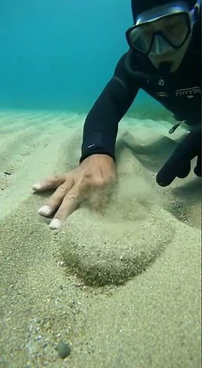 Diver Watches a Fish Get Pulled Underground | Strange Underwater Encounter #UnderwaterFootage