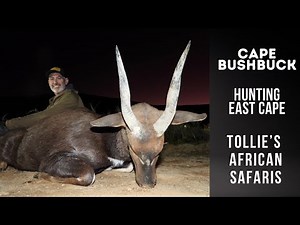 Bushbuck | Eastern Cape Hunting | Cape Bushbuck with Tollie’s African Safaris | Hunt East Cape
