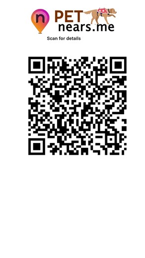 Fur Seasons Pet Resort & Spa - Pet Boarding Service in Newfields, New Hampshire | Pet Near Me 216