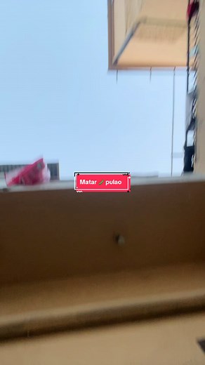 Instagram: robina_maroof_ and YouTube:Robina Maroof