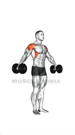 build cannonball shoulders fast