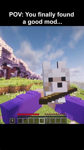 POV You finally found a good mod #minecraft