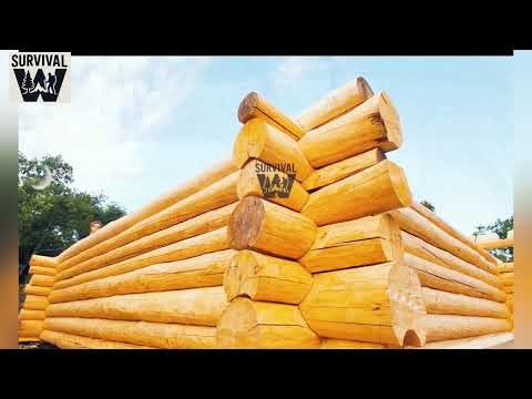 Solo Wilderness Build: From Raw Spruce Logs to a Cozy Off-Grid Cabin