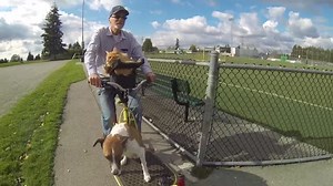 1.9K views · 61 reactions | Adam the Maine coon and Mexi the dog enjoy a relaxing ride on their owner's custom-built bicycle. How cool is that?  | Rumble Dogs | Facebook