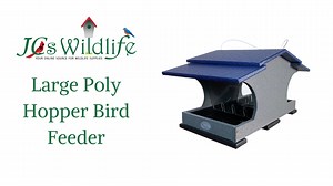 Watch Large Poly Hopper Bird Feeder Product Overview on Amazon Live