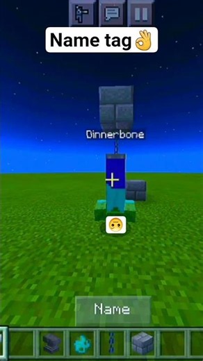 Dinnerbone name tag in Minecraft #viral #trending #minecraft #shorts