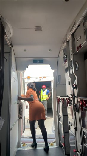 The Life of a Flight Attendant: Insights and Experiences