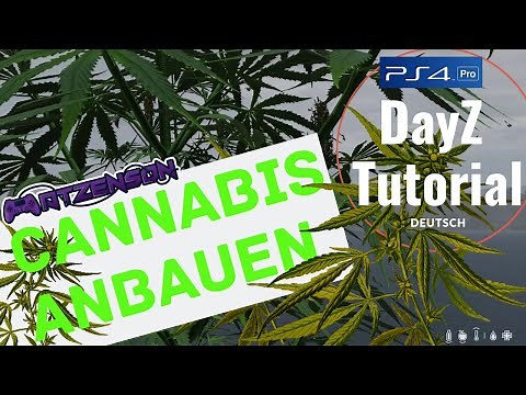 Cannabis Tutorial | DayZ PS4/Xbox [Deutsch]