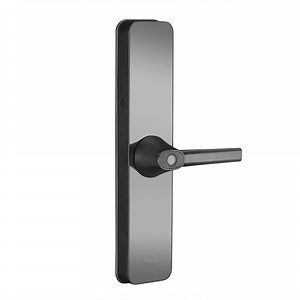 [Hot Item] Keyless Fingerprint Passward Entry Door Handle Digital Smart Lock