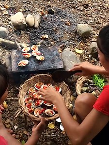 54K views · 761 reactions | Catching Sea Shells and Grilling for lunch Part 10 | Jungle Food TV | Facebook