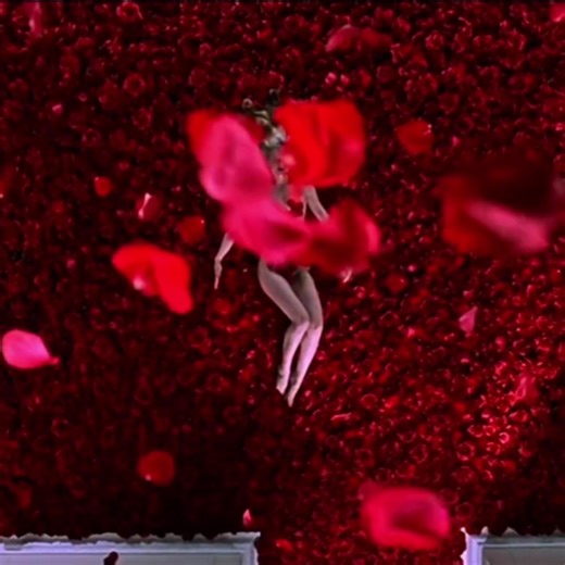 American Beauty #fyp #edit #film #1990s #vibe