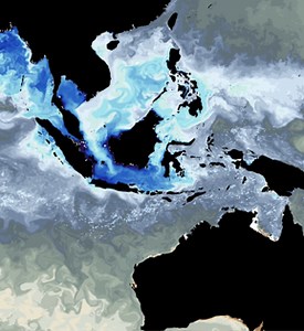 Sea surface currents and salinity near the maritime continent