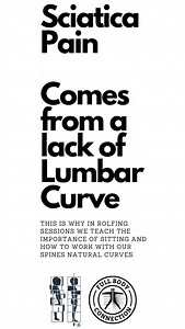 Did you know? The curves in our spine help us stay upright and stable. 🤓🧐😎😎 | Full Body Connection