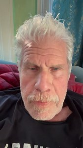 supportpwb.com ❤️🐶 Today is giving Tuesday. Every dollar donated to @pupswithoutborders goes directly to the dogs- getting then out of horrible situations, providing them with safe shelter, medical care and then adoption to a forever home. Let’s go dog people!!!! | Ron Perlman