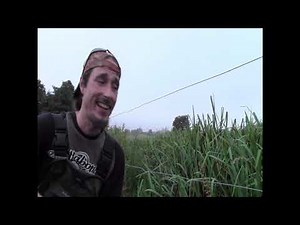 Catch and Cook UK: Signal Crayfish....... MONSTER Crayfish!