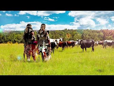 Inkabi Zezwe ft Sjava & Big Zulu - Omunye [Official Visualiser]