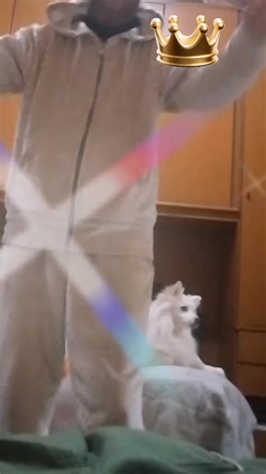 Video di er mentuccia (@mentuccia.avatr.alien) con suono originale - NinoFiorelloofficial