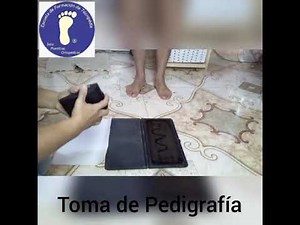 Toma de Pedigrafia