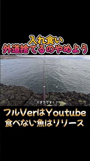 マダラポイント・ホッケとカレイ入れ食い・カジカが複数放置、捨てられていた、食べないならリリースしましょう