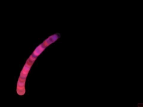 Cause Effect Sensory Light Box