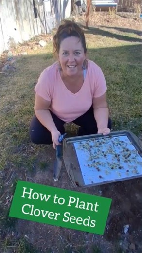 How to Plant Clover Seeds