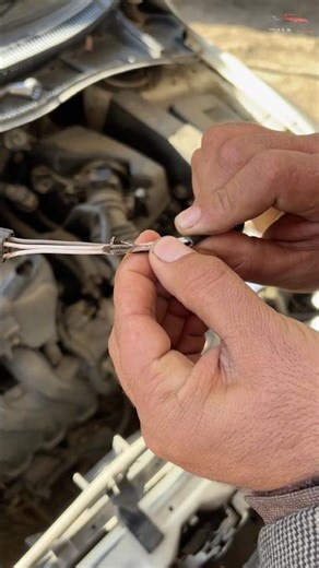 P0031,P0443 code easily solved #car#mechanic#goodadvice#wintter#vizit