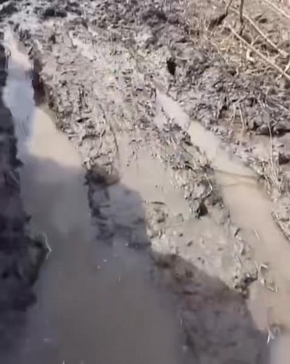 445K views · 6.6K reactions |  Vovchansk Direction Update Another...