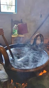 Molito ranchero | Anyelys Ramírez