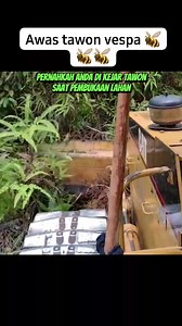 1.3M views · 4.8K reactions | Operator dozer dengan Cabin terbuka, harap waspad4. #reels #alatberat #bulldozer #caterpillar | Alat Berat | Facebook