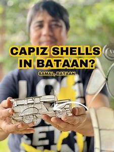 13K views · 59 reactions | May Capiz Shells sa Bataan? 類樂 The growth...
