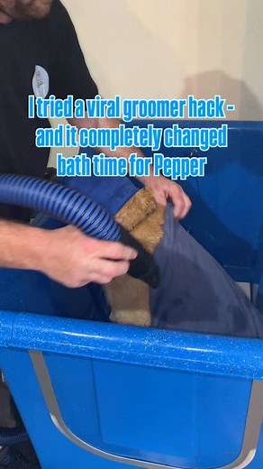 Last week I saw a groomer share a simple drying trick — wrap the dog in a towel and blow-dry the towel, not their fur directly. Supposedly it’s only marginally quicker, but what really caught my attention? They noticed the dogs seemed calmer. So I tried it with Pepper, who usually alternates between trying to escape the tub and declaring war on my dryer. And the result? No drama. No wrestling. Just a very calm (and slightly confused) dog letting me dry her off. Honestly — even if this took twice