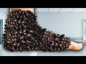 Satisfying ASMR Foot Cleaning 🦶 | Deep Scrub, Soft Sounds & Relaxing Foot Massage