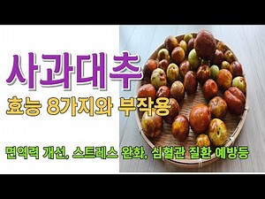 8 Benefits and Side Effects of Apple Jujubes / Thin Skin for a Great Taste and Supports Immunity