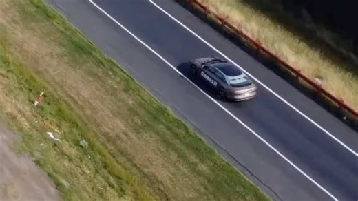 Tesla Apparently Benchmark Testing Lucid Air At Fremont Factory