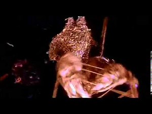 HRV - Lord Barkis cuts Oogie Boogie with his sword