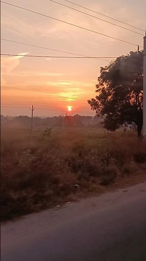 Most Beautiful Sunset View | Relaxing Nature Video | Stunning Golden Sky 🌅