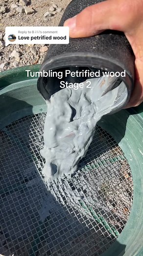 Replying to @B i l i Stage two result of petrified wood #tumblingrocks #petrifiedwood #rocktumbler