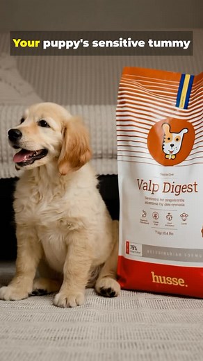 Give your puppy the best start with Husse’s Super Premium puppy foods...