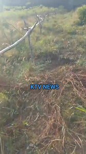 40K views · 1.3K reactions | Kokori Farmer and OBIDIENT Movement...