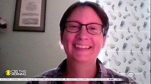 Stonehenge mystery of stones' origins solved